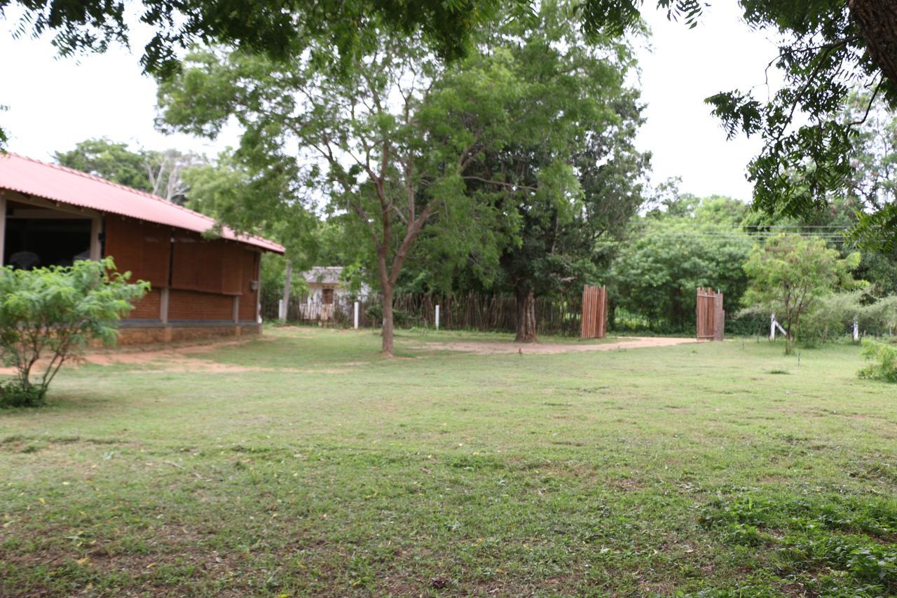 Hide Yala Bed & Breakfast Tissamaharama Bagian luar foto